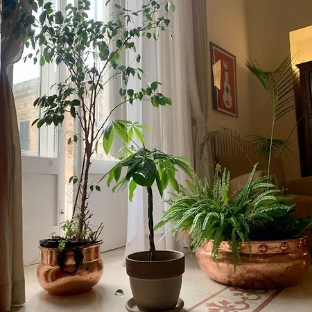 4 Balconi Rooms-boutique * Lecce